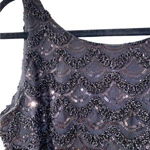 Delicate lace and sequence dress